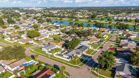 View/Area - 1002 Pine Ridge Cir, Brandon, FL 33511 photo 5 of 12
