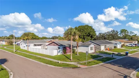 View/Area - 1002 Pine Ridge Cir, Brandon, FL 33511 photo 11 of 12