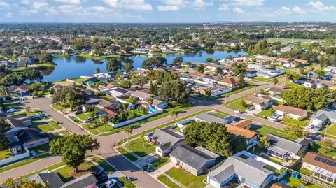 View/Area - 1002 Pine Ridge Cir, Brandon, FL 33511 photo 8 of 12