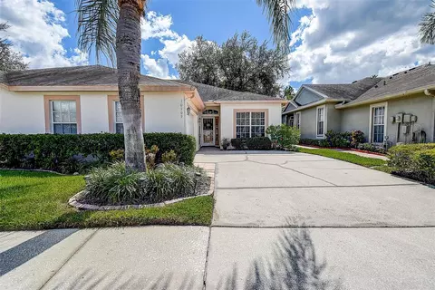 10109 Mowry Ln, Tampa, FL 33625