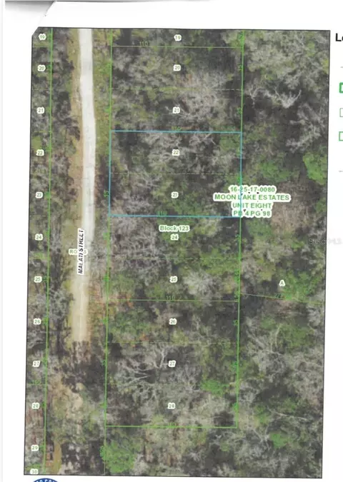 Malati Street, New Port Richey, FL 34654