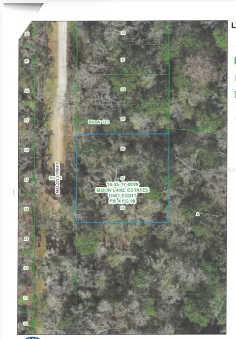 Malati Street, New Port Richey, FL 34654