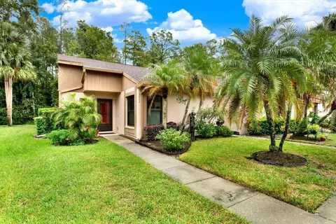 3433 Hillmoor Dr, Palm Harbor, FL 34685