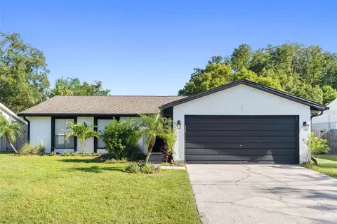5308 Black Pine Dr, Tampa, FL 33624