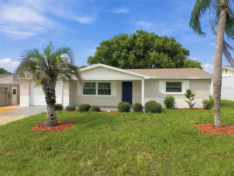 3625 Cockatoo Dr, New Port Richey, FL 34652