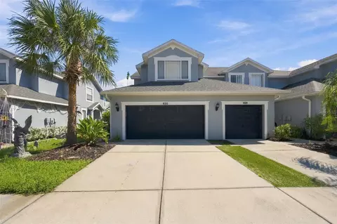 10313 Willow Leaf Trl, Tampa, FL 33625