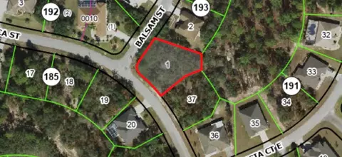 41 Balsam St, Homosassa, FL 34446