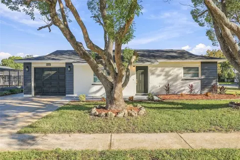 4147 Raccoon Loop, New Port Richey, FL 34653