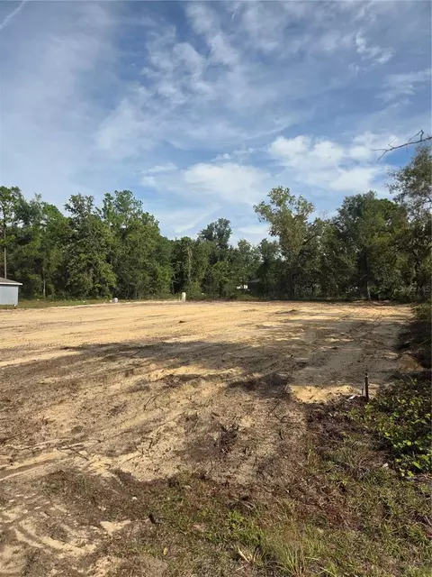 16016 Sheldrake Loop, Weeki Wachee, FL 34614 photo 4