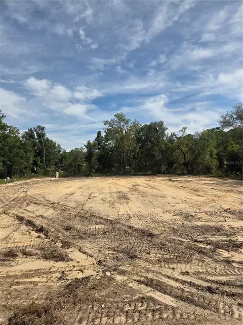 16016 Sheldrake Loop, Weeki Wachee, FL 34614 photo 2