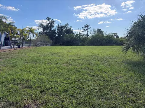 Greenview Drive, Apollo Beach, FL 33572 photo 3