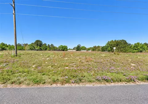 Unassigned, Morriston, FL 32668 photo 4