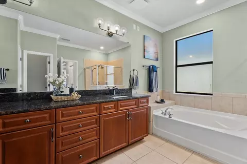 Bath - 308 Star Shell Dr, Apollo Beach, FL 33572 photo 2 of 5