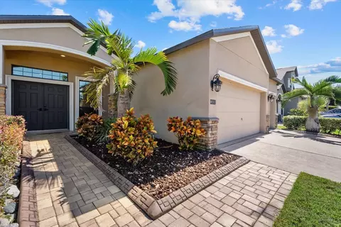 Exterior - 308 Star Shell Dr, Apollo Beach, FL 33572 photo 3 of 14