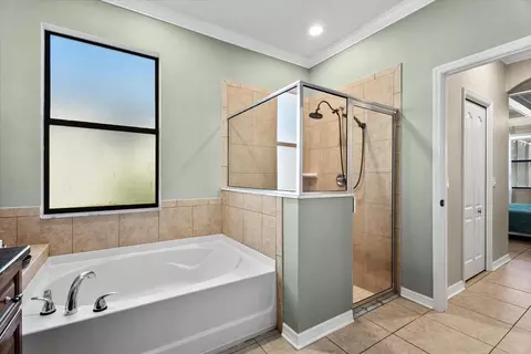 Bath - 308 Star Shell Dr, Apollo Beach, FL 33572 photo 3 of 5