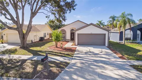 11108 Windpoint Dr, Tampa, FL 33635