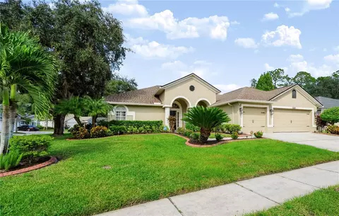 12541 Leatherleaf Dr, Tampa, FL 33626