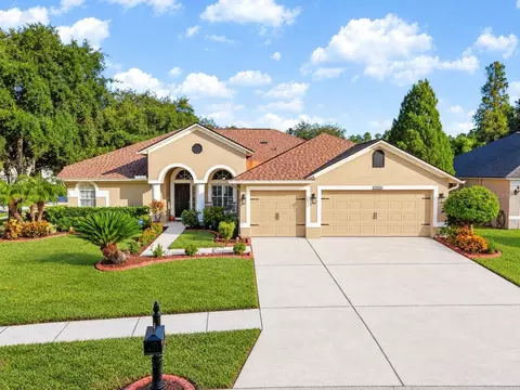 12541 Leatherleaf Dr, Tampa, FL 33626