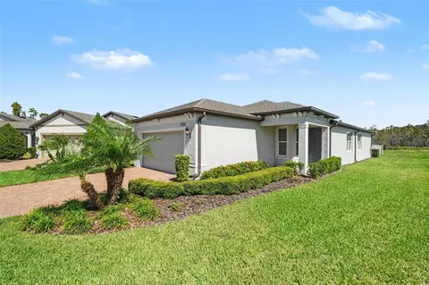 5702 Bay Tide Ct, Land O Lakes, FL 34638