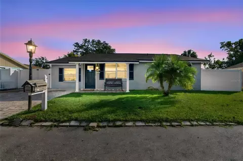 10118 Wheatley Hills Ct, Tampa, FL 33615