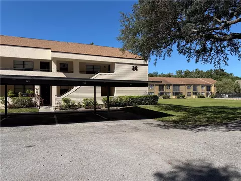 7840 Niagara Ave #325, Tampa, FL 33617