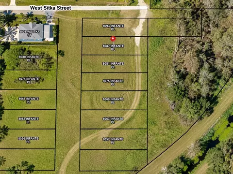 8087 Infante Pl, Tampa, FL 33614