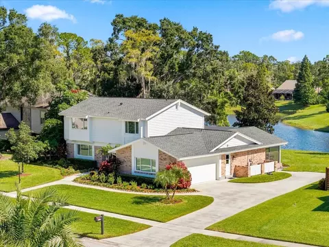 4110 Carrollwood Village Dr, Tampa, FL 33618