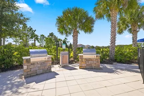 Other - 11417 Blue Woods Dr, Riverview, FL 33569 photo 9 of 12