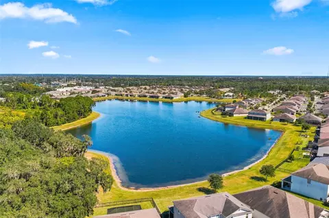 View/Area - 11417 Blue Woods Dr, Riverview, FL 33569 photo 17 of 22