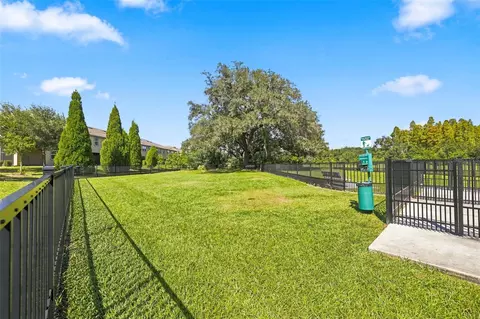 Other - 11417 Blue Woods Dr, Riverview, FL 33569 photo 11 of 12