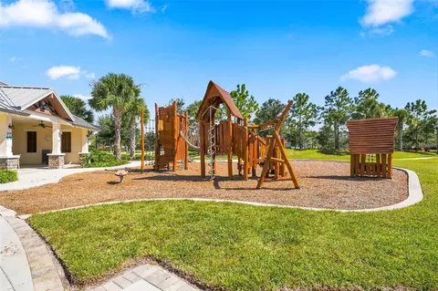 View/Area - 11417 Blue Woods Dr, Riverview, FL 33569 photo 15 of 22