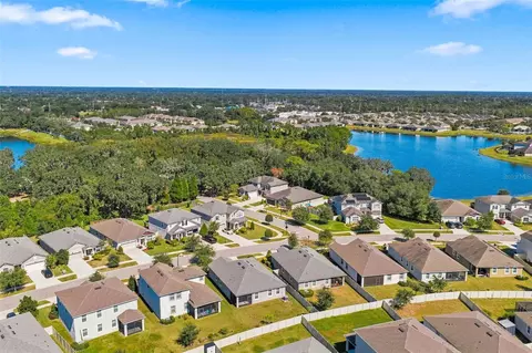 View/Area - 11417 Blue Woods Dr, Riverview, FL 33569 photo 6 of 22