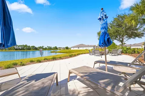 View/Area - 11417 Blue Woods Dr, Riverview, FL 33569 photo 13 of 22