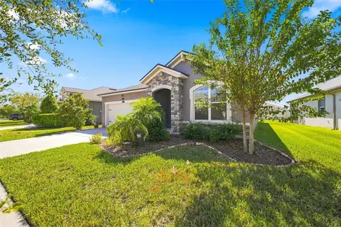 Exterior - 11417 Blue Woods Dr, Riverview, FL 33569 photo 4 of 10