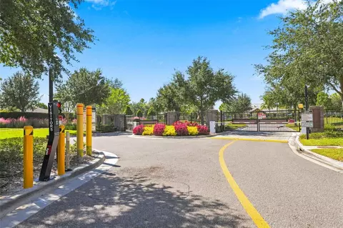 View/Area - 11417 Blue Woods Dr, Riverview, FL 33569 photo 8 of 22