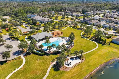 View/Area - 11417 Blue Woods Dr, Riverview, FL 33569 photo 21 of 22