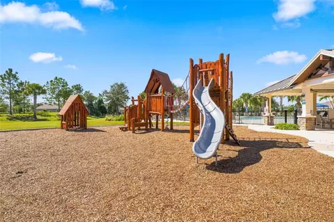 View/Area - 11417 Blue Woods Dr, Riverview, FL 33569 photo 16 of 22