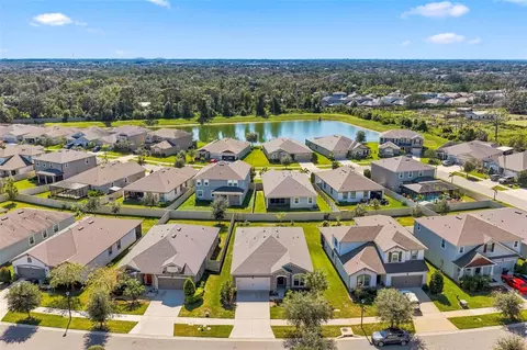 View/Area - 11417 Blue Woods Dr, Riverview, FL 33569 photo 3 of 22