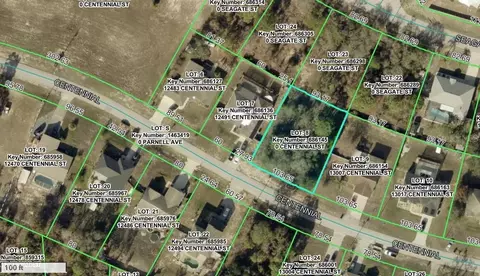12501 Centennial St, Spring Hill, FL 34609 photo 4