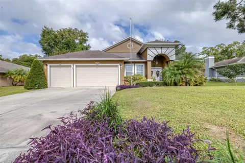 3949 Lake Joyce Dr, Land O Lakes, FL 34639