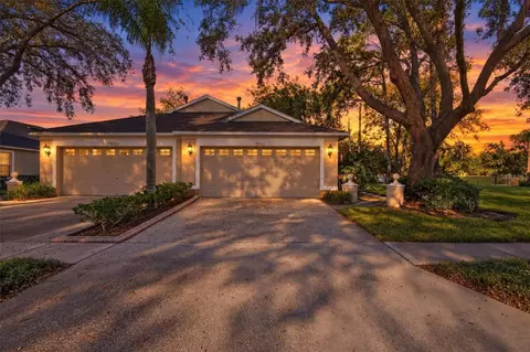 19122 Doves Landing Dr, Tampa, FL 33647