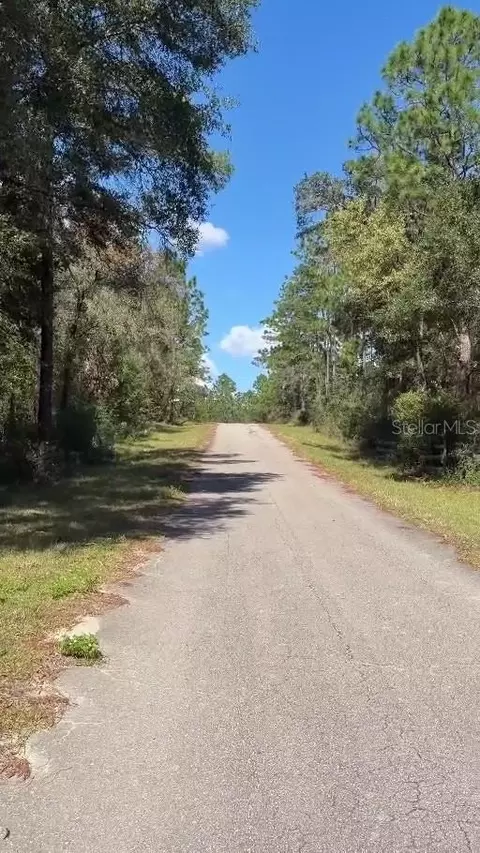 NE 13th Lane, Williston, FL 32696 photo 3