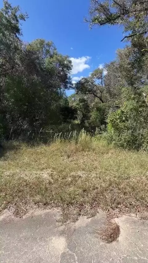 NE 13th Lane, Williston, FL 32696 photo 4