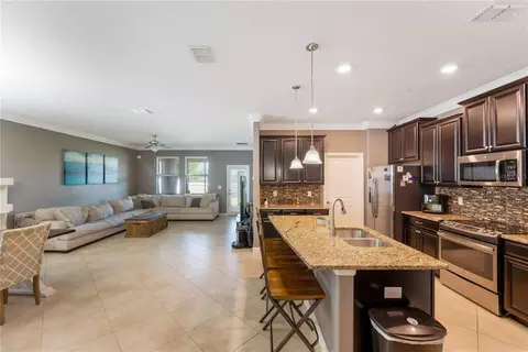 Other - 13156 Green Violet Dr, Riverview, FL 33579 photo 2 of 8