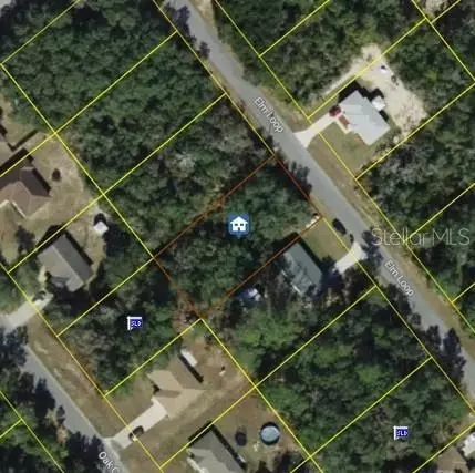 Elm Loop, Ocala, FL 34470 photo 2
