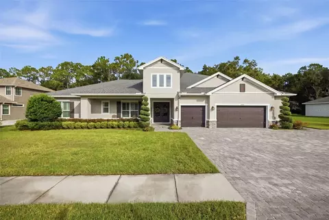 12811 Eagles Entry Dr, Odessa, FL 33556