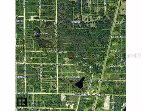 35162 Soap Stone St, Webster, FL 33597 photo 1