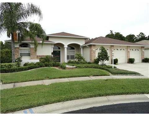 11311 Wedgemere Dr, Trinity, FL 34655 photo 1