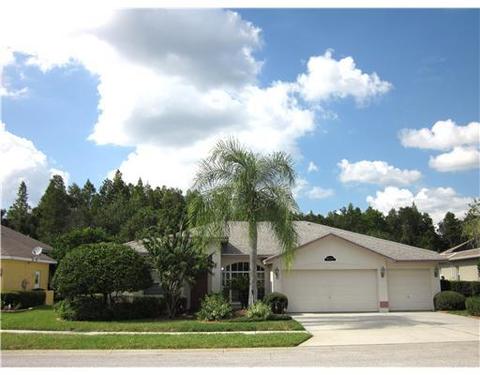 8137 Meadowview Pl, Trinity, FL 34655 photo 1