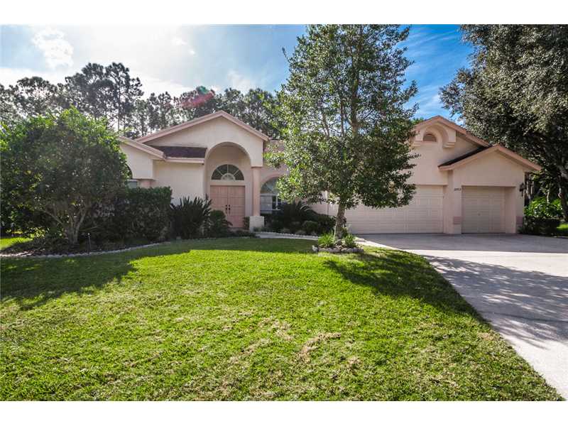 2003 Warwick Dr, Oldsmar, FL 34677 photo 1